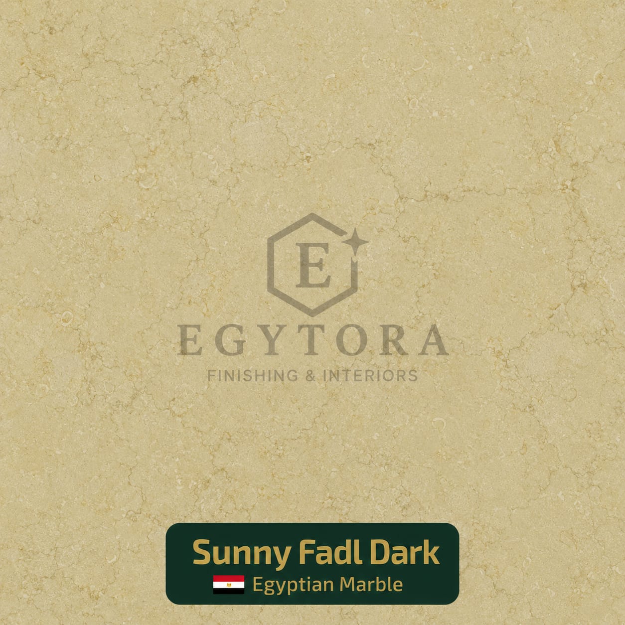 Sunny Fadl Dark Marble